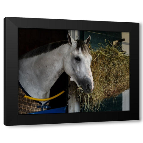Pre-Race Wheaties Black Modern Wood Framed Art Print with Double Matting by Galloimages Online