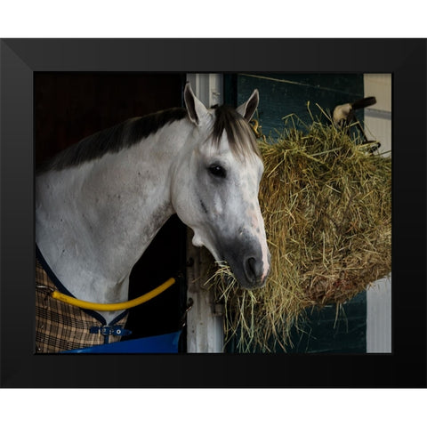 Pre-Race Wheaties Black Modern Wood Framed Art Print by Galloimages Online