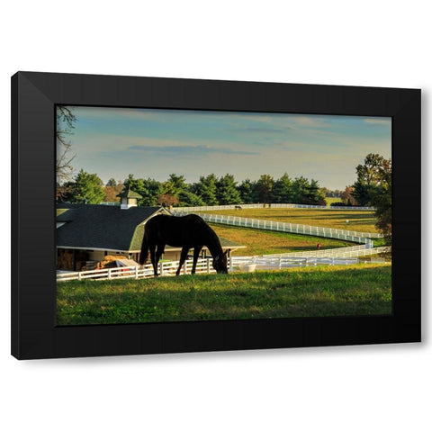 Sunset On The Farm Black Modern Wood Framed Art Print by Galloimages Online