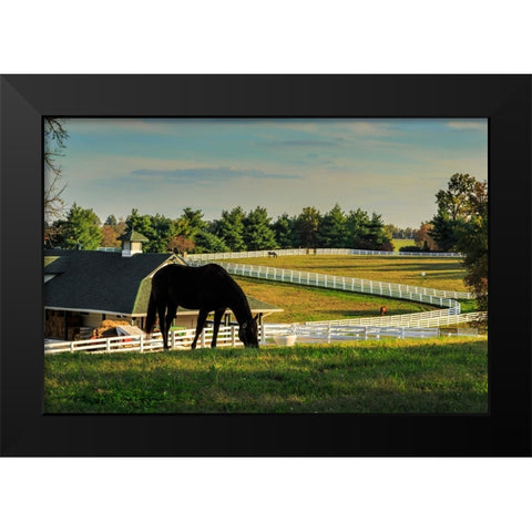 Sunset On The Farm Black Modern Wood Framed Art Print by Galloimages Online