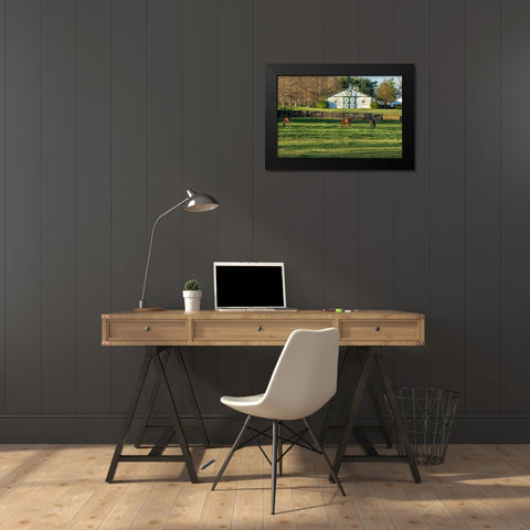 Horse Farm Landscape Black Modern Wood Framed Art Print by Galloimages Online