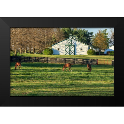 Horse Farm Landscape Black Modern Wood Framed Art Print by Galloimages Online