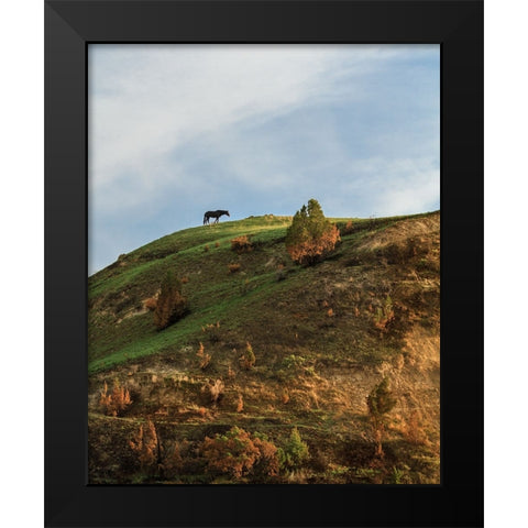 Horse On Hill (TRNP) Black Modern Wood Framed Art Print by Galloimages Online