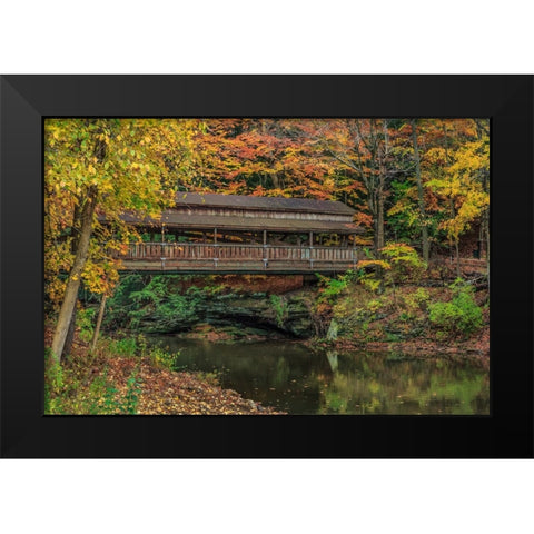 Mill Creek Covered Bridge 2 Black Modern Wood Framed Art Print by Galloimages Online