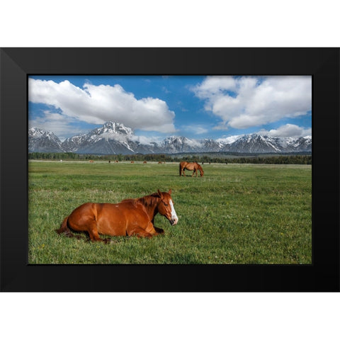 Teton Horses Black Modern Wood Framed Art Print by Galloimages Online