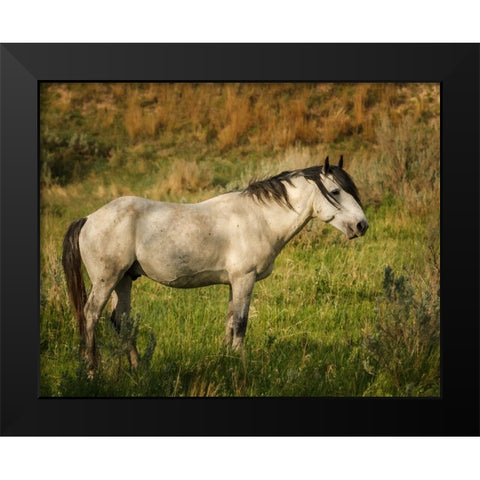 Wild Horse Black Modern Wood Framed Art Print by Galloimages Online
