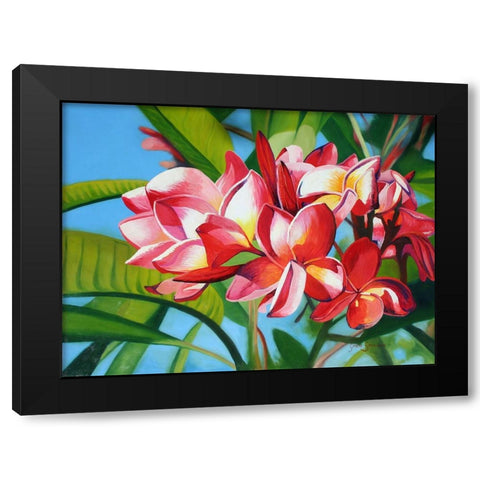 Frangipani Days Black Modern Wood Framed Art Print with Double Matting by Stevenson, Graeme