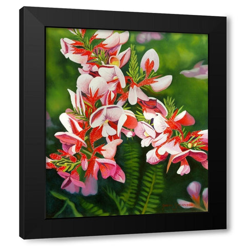 Small Pink Black Modern Wood Framed Art Print by Stevenson, Graeme