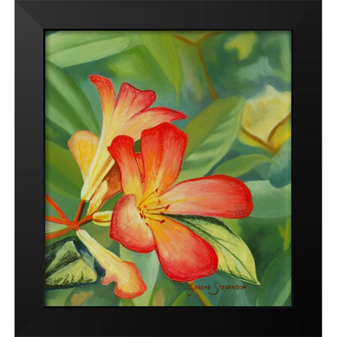 Small Red Flower Black Modern Wood Framed Art Print by Stevenson, Graeme
