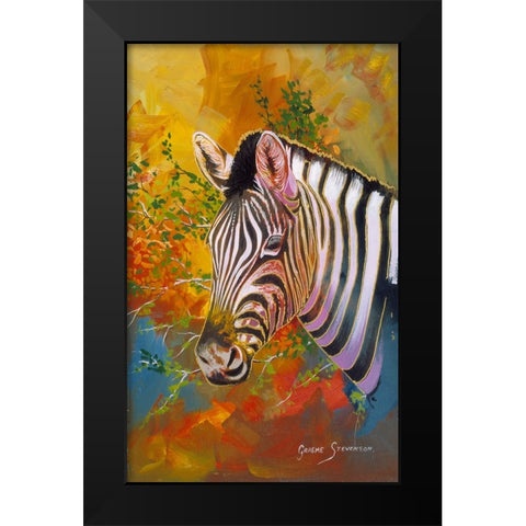 Zebra Days Black Modern Wood Framed Art Print by Stevenson, Graeme
