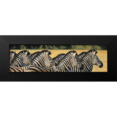Zebras Black Modern Wood Framed Art Print by Stevenson, Graeme
