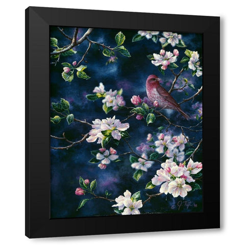 Bird Black Modern Wood Framed Art Print with Double Matting by Tift, Jeff