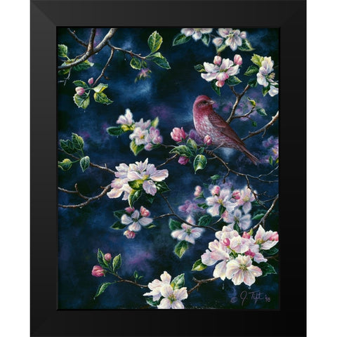 Bird Black Modern Wood Framed Art Print by Tift, Jeff