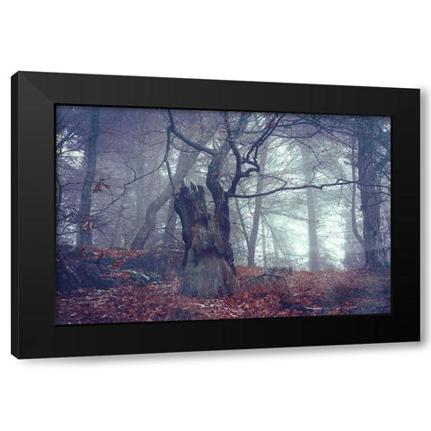 Celtic Guardian Black Modern Wood Framed Art Print with Double Matting by Jenny Rainbow Fine Art