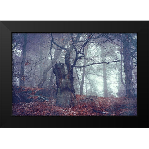 Celtic Guardian Black Modern Wood Framed Art Print by Jenny Rainbow Fine Art