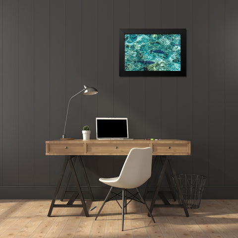 Maldives Fishes in the Clear Water 1 Black Modern Wood Framed Art Print by Jenny Rainbow Fine Art