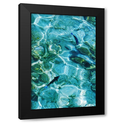 Maldives Fishes in the Clear Water 2 Black Modern Wood Framed Art Print by Jenny Rainbow Fine Art