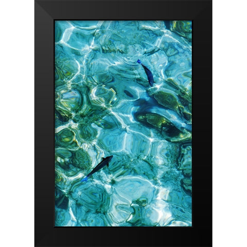 Maldives Fishes in the Clear Water 2 Black Modern Wood Framed Art Print by Jenny Rainbow Fine Art