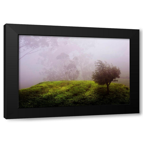 Ghost Tree in the Haunted Forest Black Modern Wood Framed Art Print with Double Matting by Jenny Rainbow Fine Art