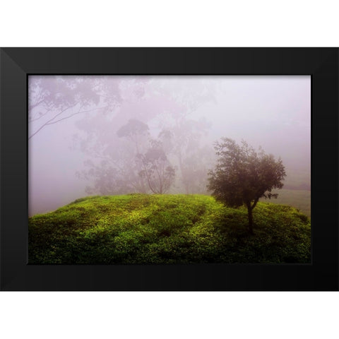Ghost Tree in the Haunted Forest Black Modern Wood Framed Art Print by Jenny Rainbow Fine Art