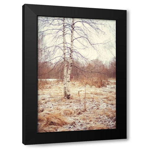 Grace in the Snow Black Modern Wood Framed Art Print with Double Matting by Jenny Rainbow Fine Art