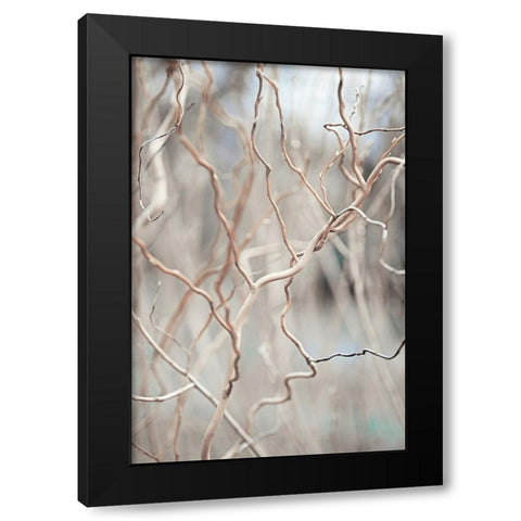 Lost World Black Modern Wood Framed Art Print with Double Matting by Jenny Rainbow Fine Art