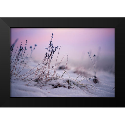 Magic Winter Moments 1 Black Modern Wood Framed Art Print by Jenny Rainbow Fine Art