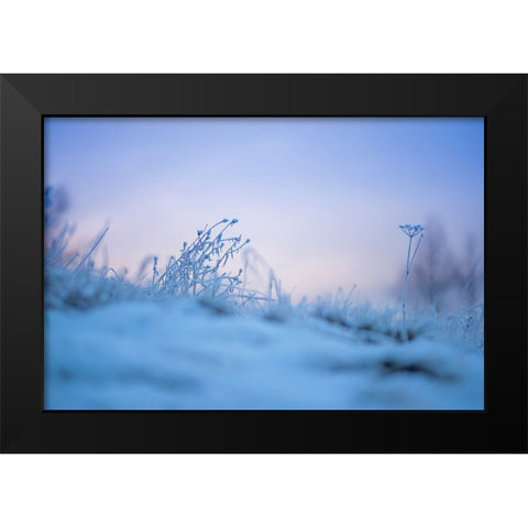 Magic Winter Moments 2 Black Modern Wood Framed Art Print by Jenny Rainbow Fine Art