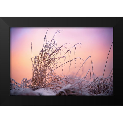Magic Winter Moments 3 Black Modern Wood Framed Art Print by Jenny Rainbow Fine Art
