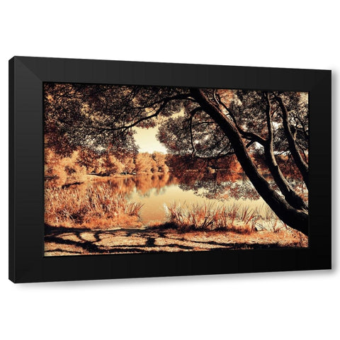 Miracle Airy Lace of Autumn Black Modern Wood Framed Art Print with Double Matting by Jenny Rainbow Fine Art