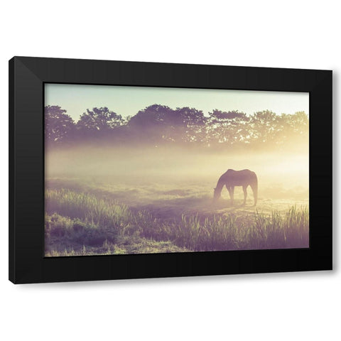 Misty Morning on the Dutch Field Black Modern Wood Framed Art Print with Double Matting by Jenny Rainbow Fine Art