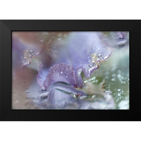 Morning Diamonds Iris Macro 1 Black Modern Wood Framed Art Print by Jenny Rainbow Fine Art