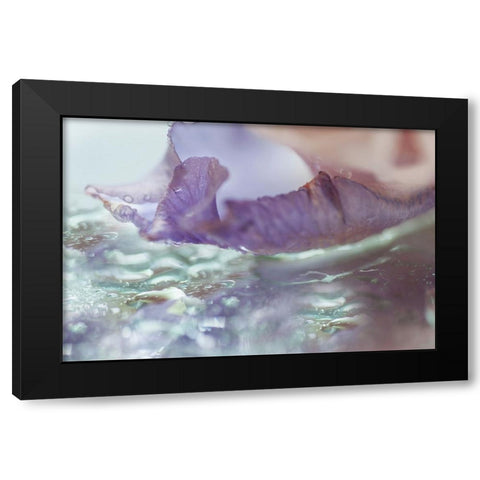 Morning Diamonds Iris Macro 2 Black Modern Wood Framed Art Print with Double Matting by Jenny Rainbow Fine Art