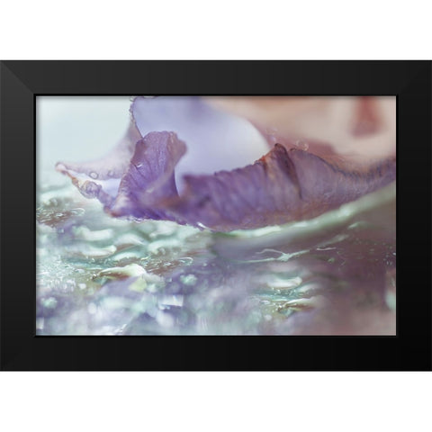 Morning Diamonds Iris Macro 2 Black Modern Wood Framed Art Print by Jenny Rainbow Fine Art