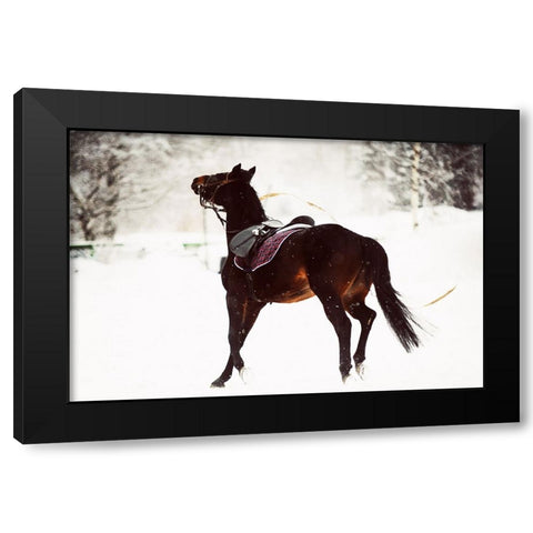 Race in the Snow Black Modern Wood Framed Art Print with Double Matting by Jenny Rainbow Fine Art
