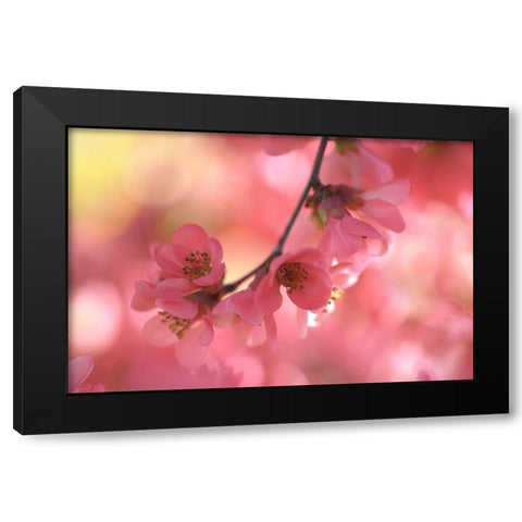Sensual Touch of Spring Black Modern Wood Framed Art Print by Jenny Rainbow Fine Art
