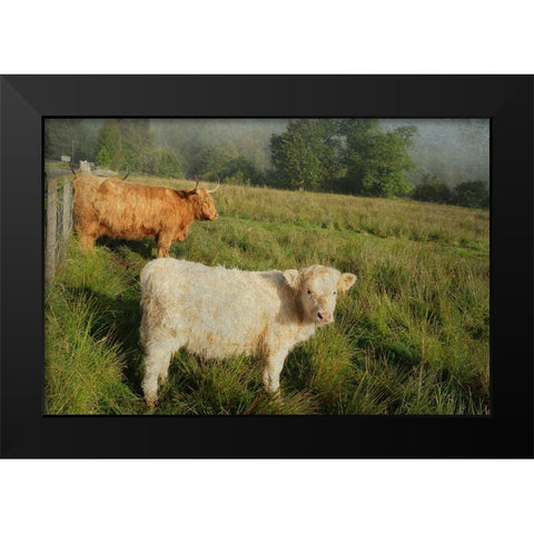 Essential Rural Life Black Modern Wood Framed Art Print by Jenny Rainbow Fine Art