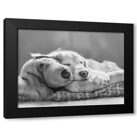 Dog Sleeping with Friend Black Modern Wood Framed Art Print by Schell, Jennie Marie