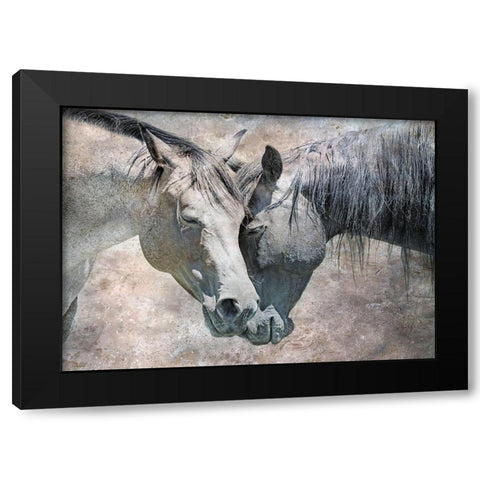 Horse Love Rustic Black Modern Wood Framed Art Print with Double Matting by Schell, Jennie Marie