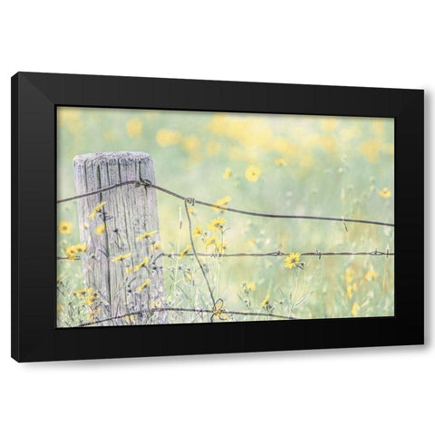 Wildflowers By Fence Post Color Black Modern Wood Framed Art Print by Schell, Jennie Marie