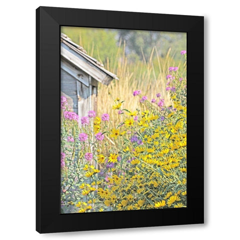 Wildflowers By Shack Black Modern Wood Framed Art Print by Schell, Jennie Marie