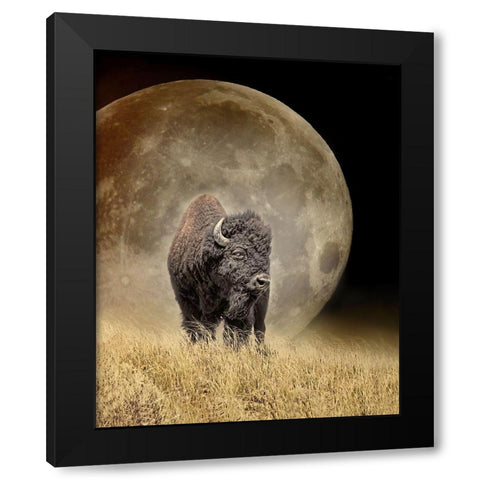 Buffalo Bison and Moon Black Modern Wood Framed Art Print with Double Matting by Schell, Jennie Marie