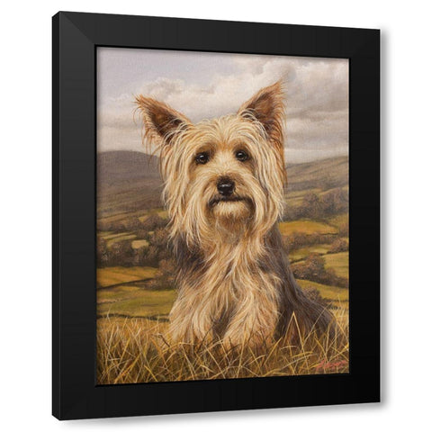 343 Black Modern Wood Framed Art Print by Silver, John