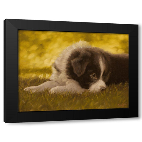 351 Black Modern Wood Framed Art Print with Double Matting by Silver, John