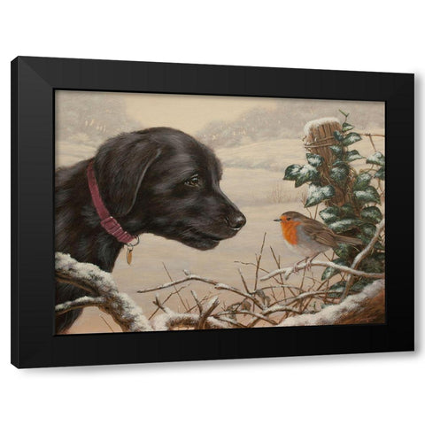 Close Encounters C906(L) Black Modern Wood Framed Art Print by Silver, John