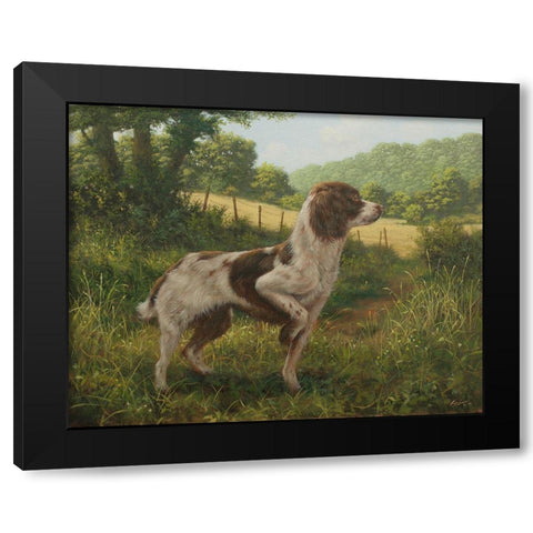 C964 Standing Springer(L) Black Modern Wood Framed Art Print with Double Matting by Silver, John