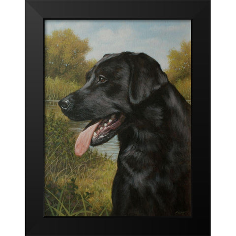 C973 Labrador by the Pool Black Modern Wood Framed Art Print by Silver, John