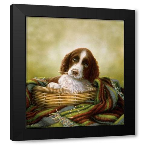 20-B Black Modern Wood Framed Art Print by Silver, John