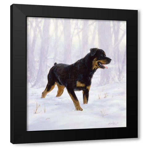 Jsm31-B Black Modern Wood Framed Art Print with Double Matting by Silver, John