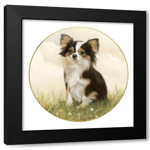 Chihuahua #4 Black Modern Wood Framed Art Print by Silver, John